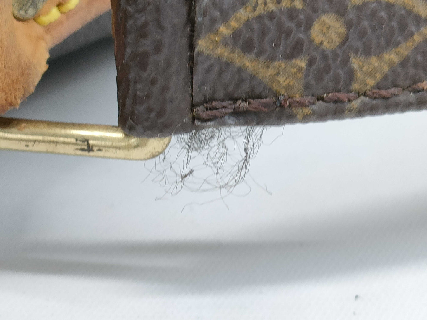 LOUIS VUITTON Monogram M45236 Amazon Shoulder Bag