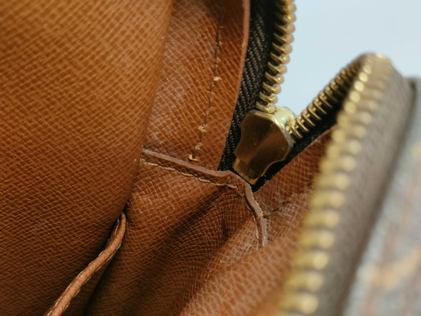 LOUIS VUITTON Monogram M45236 Amazon Shoulder Bag