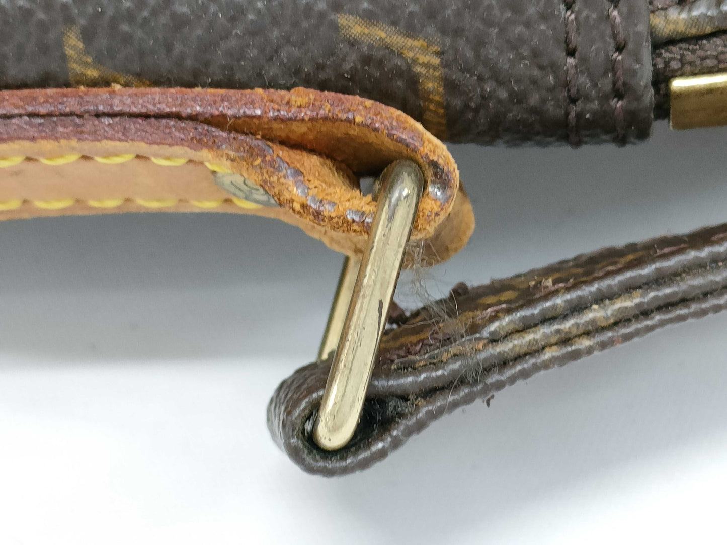 LOUIS VUITTON Monogram M45236 Amazon Shoulder Bag