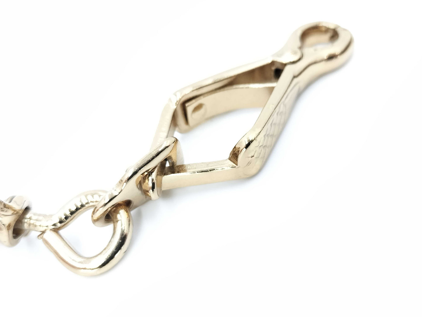 LOUIS VUITTON Monogram Pet Lead with Strap