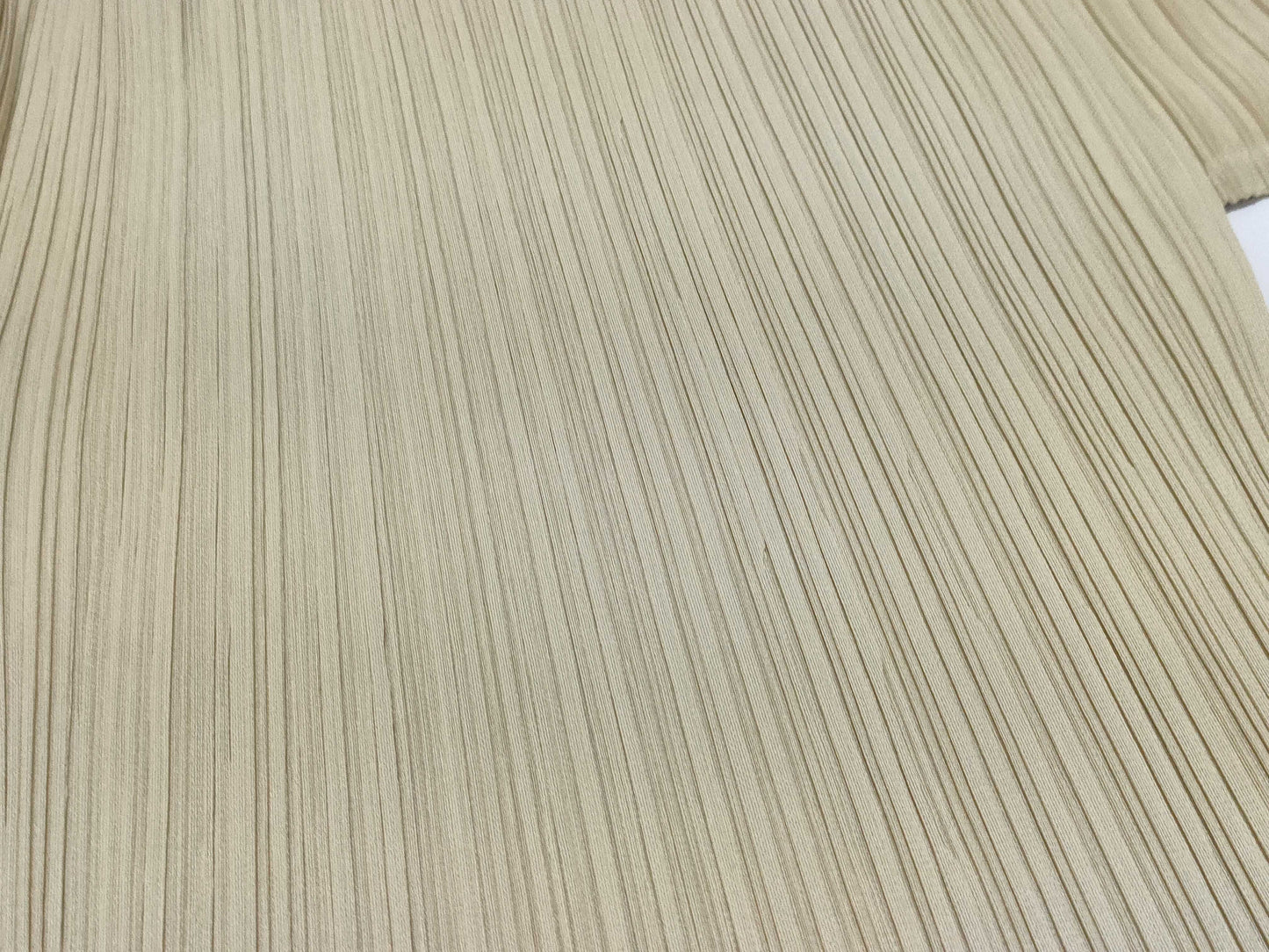 ISSEY MIYAKE Pleats Please Set, Beige, Other Apparel