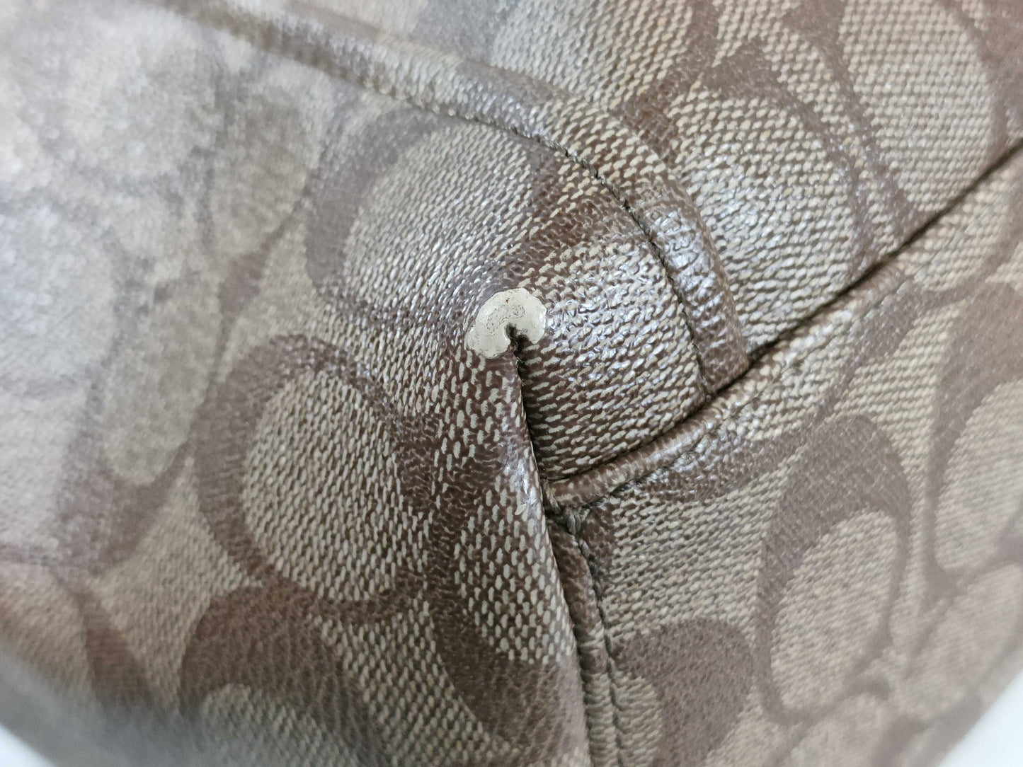 COACH Signature Tote Bag