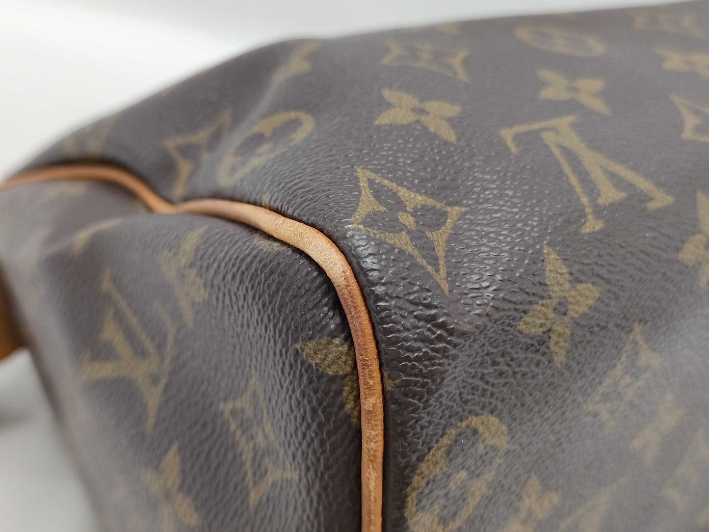 LOUIS VUITTON Monogram Speedy Handbag