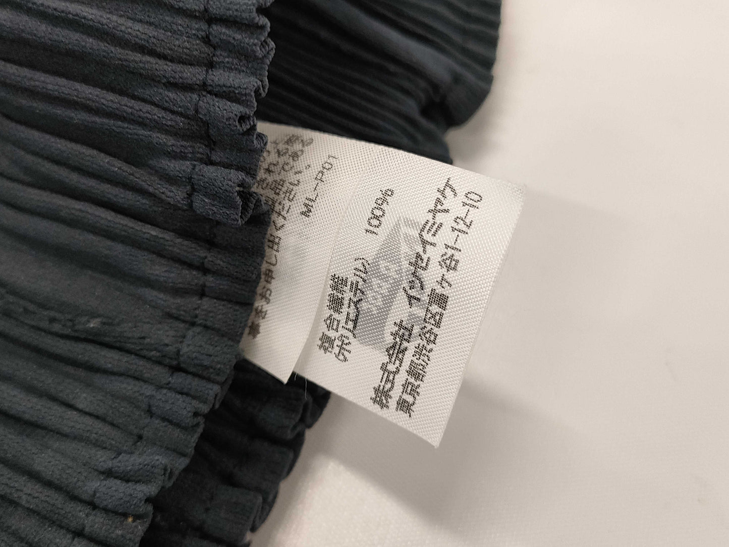 ISSEY MIYAKE Inside Pants Pants