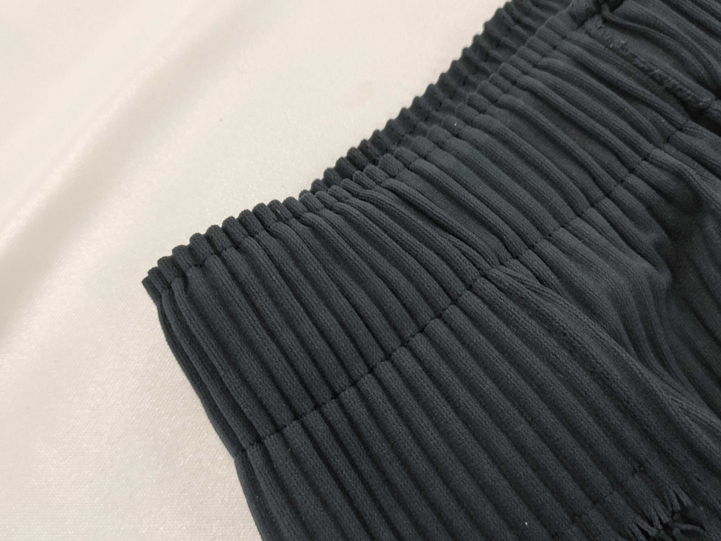 ISSEY MIYAKE Inside Pants Pants