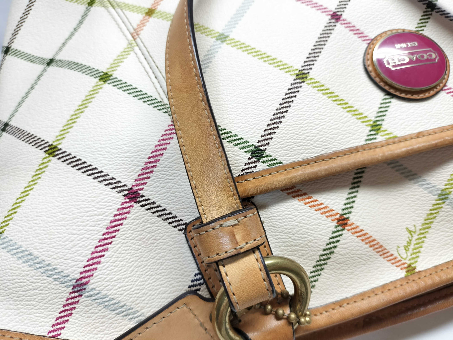COACH Signature Tote Bag