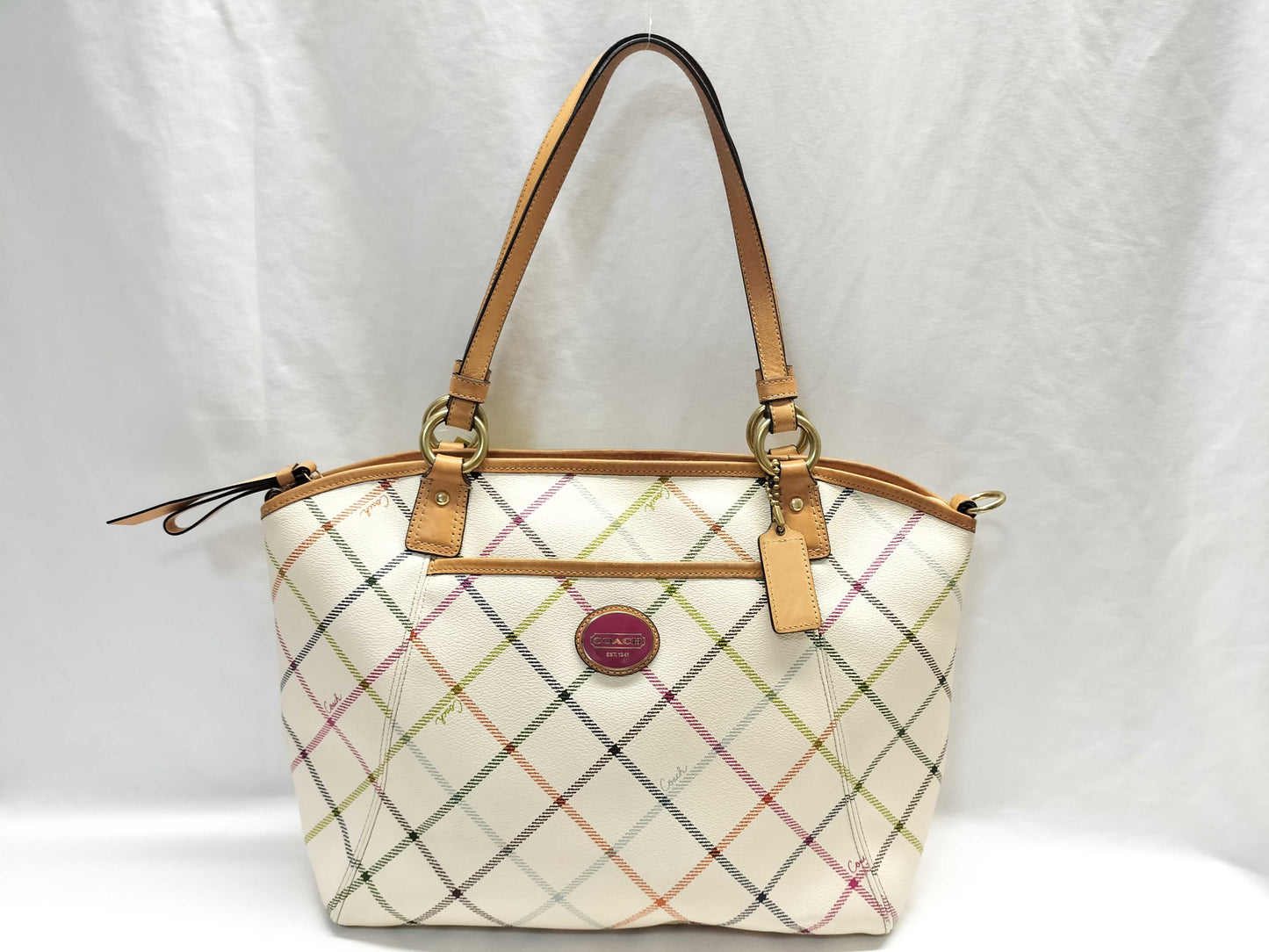 COACH Signature Tote Bag