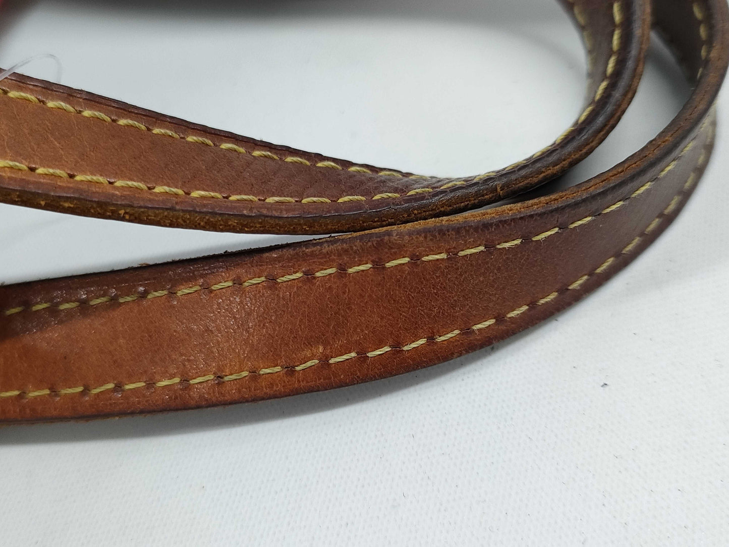 LOUIS VUITTON Vernis Reed PM Handbag