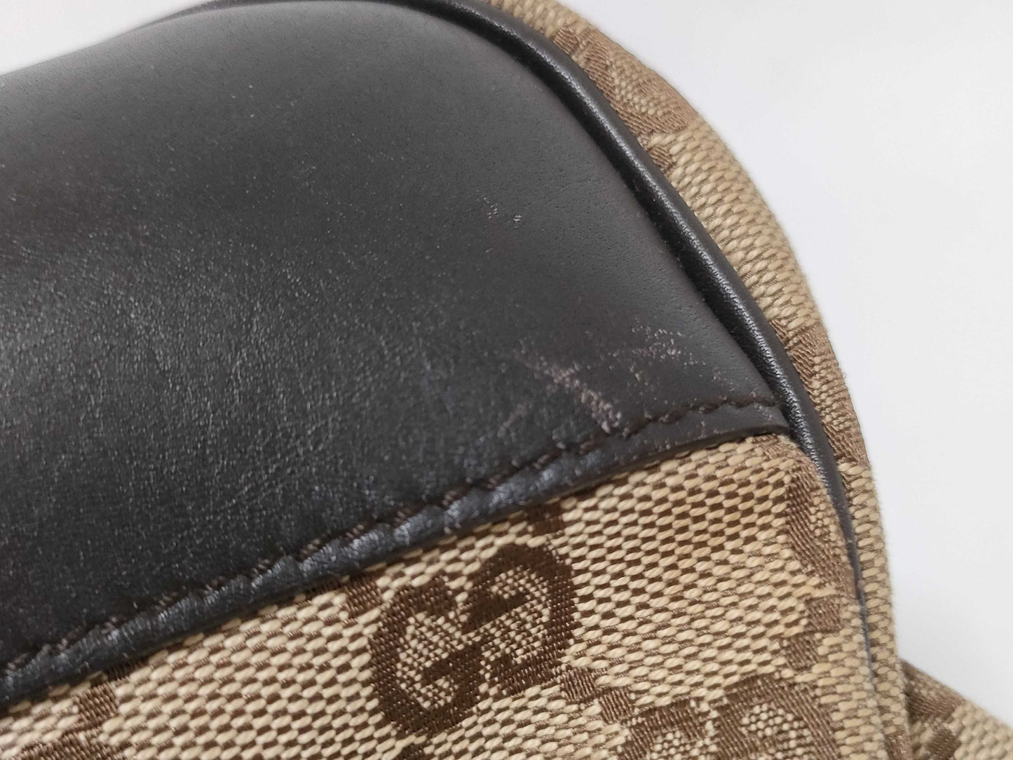 GUCCI 134931 GG Canvas Dog Carrier Tote Bag