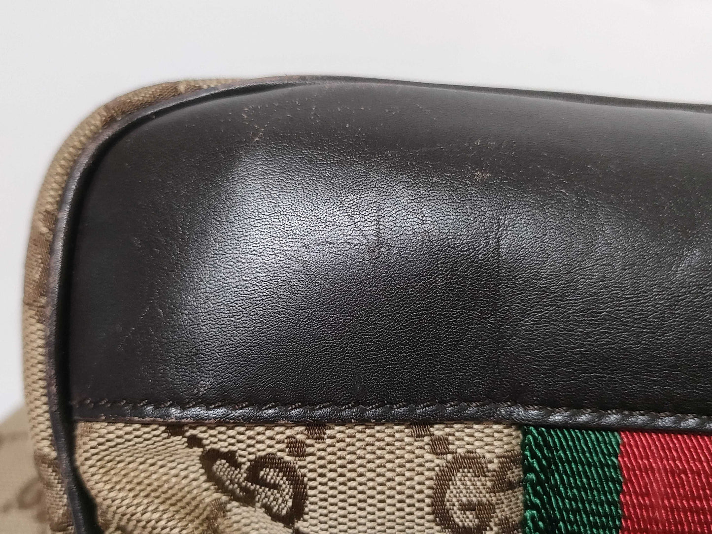 GUCCI 134931 GG Canvas Dog Carrier Tote Bag