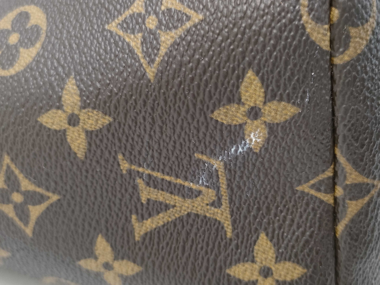 LOUIS VUITTON Monogram Totally Tote Bag
