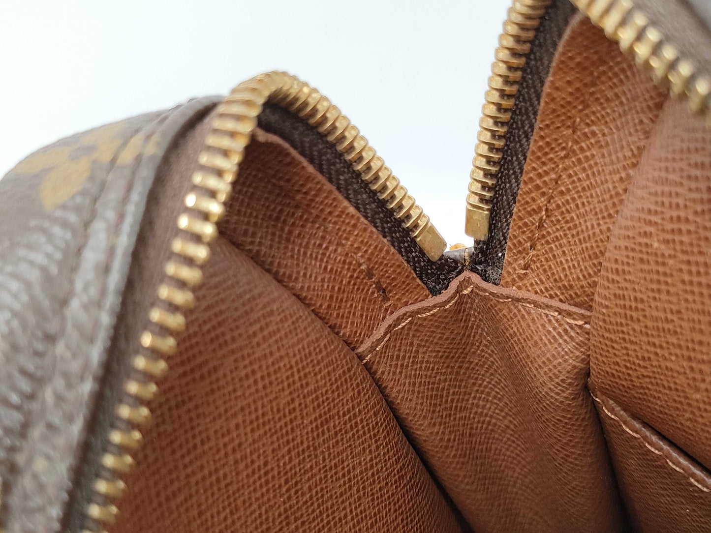 LOUIS VUITTON Monogram Danube Shoulder Bag