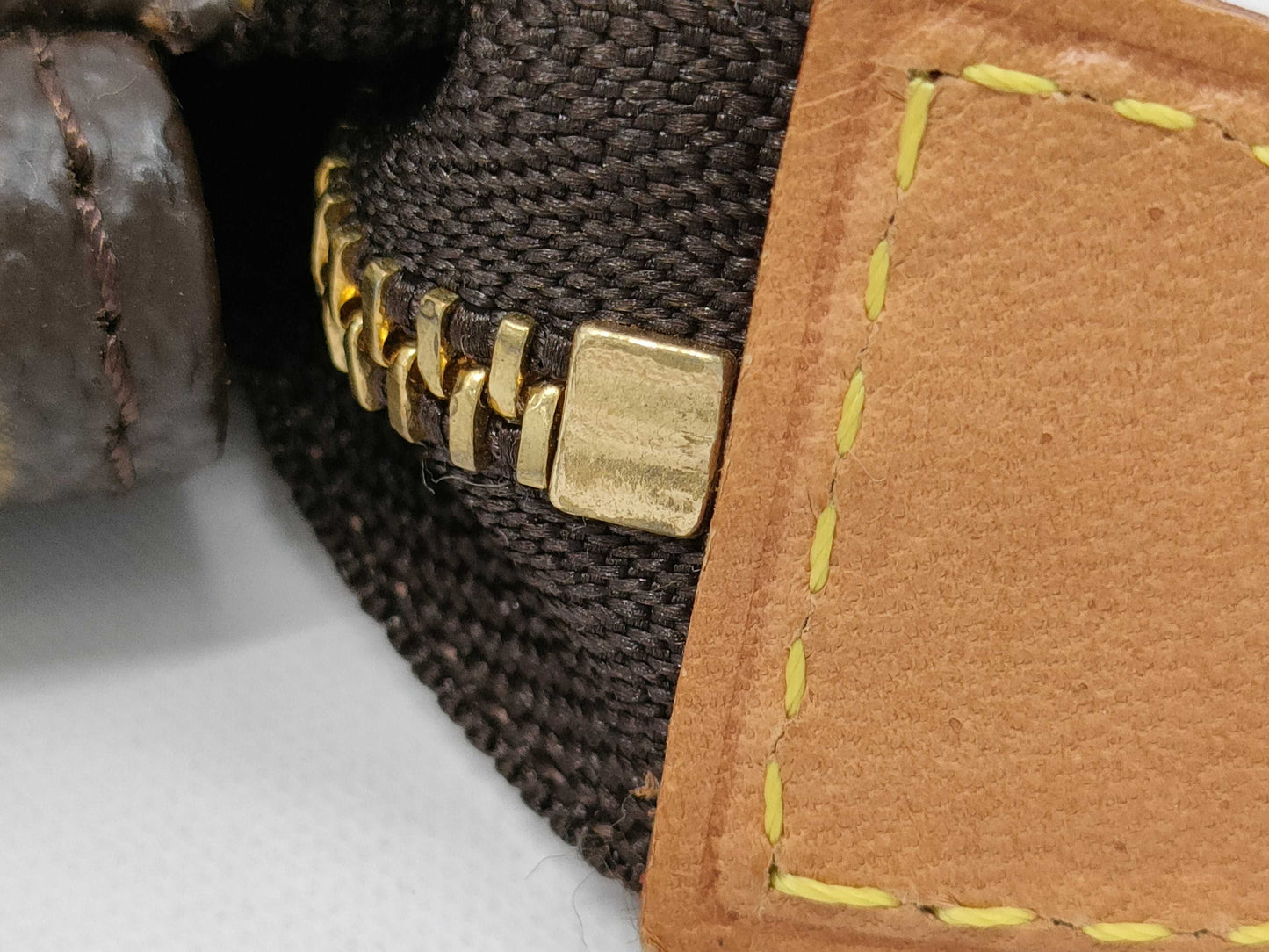 LOUIS VUITTON Monogram Accessoires Handbag