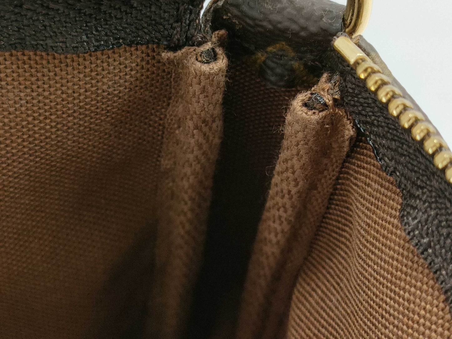 LOUIS VUITTON Monogram Accessoires Handbag