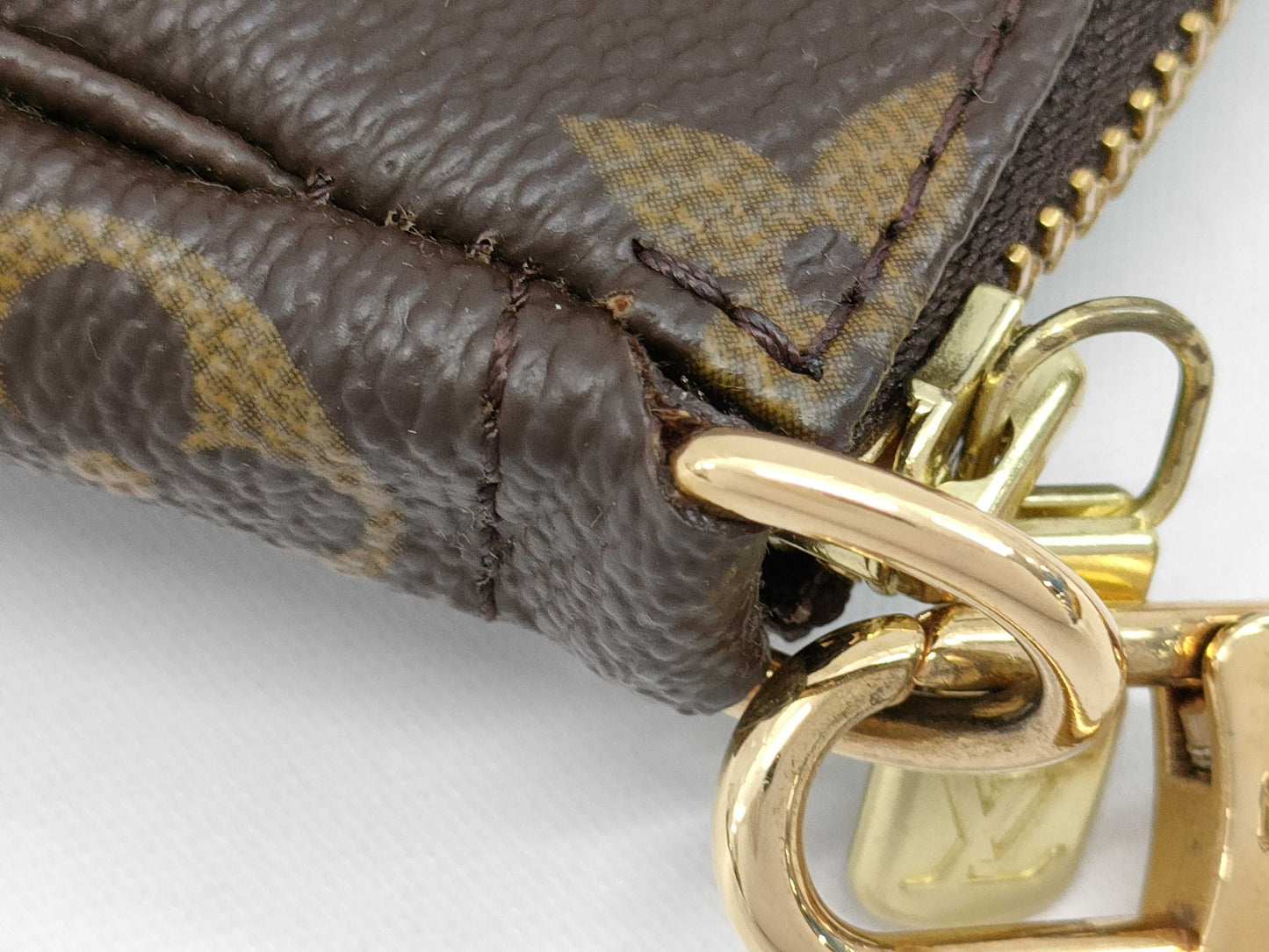 LOUIS VUITTON Monogram Accessoires Handbag