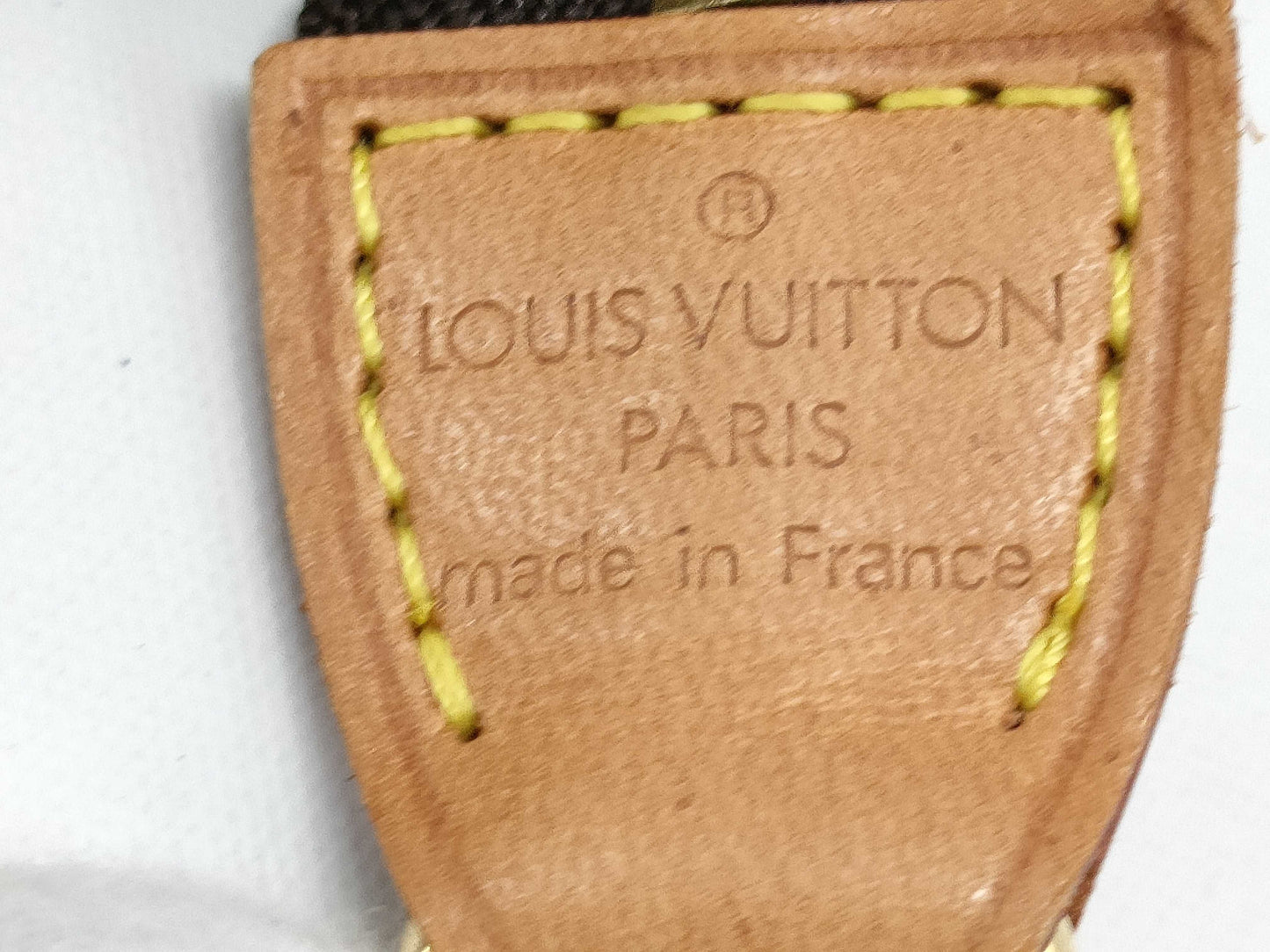 LOUIS VUITTON Monogram Accessoires Handbag