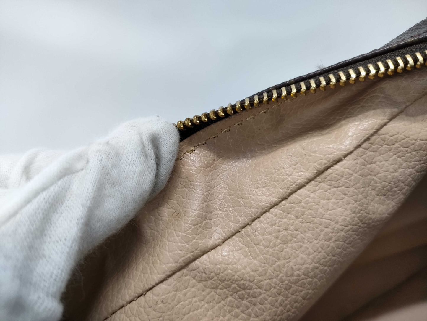 LOUIS VUITTON Monogram True Toilet Pouch