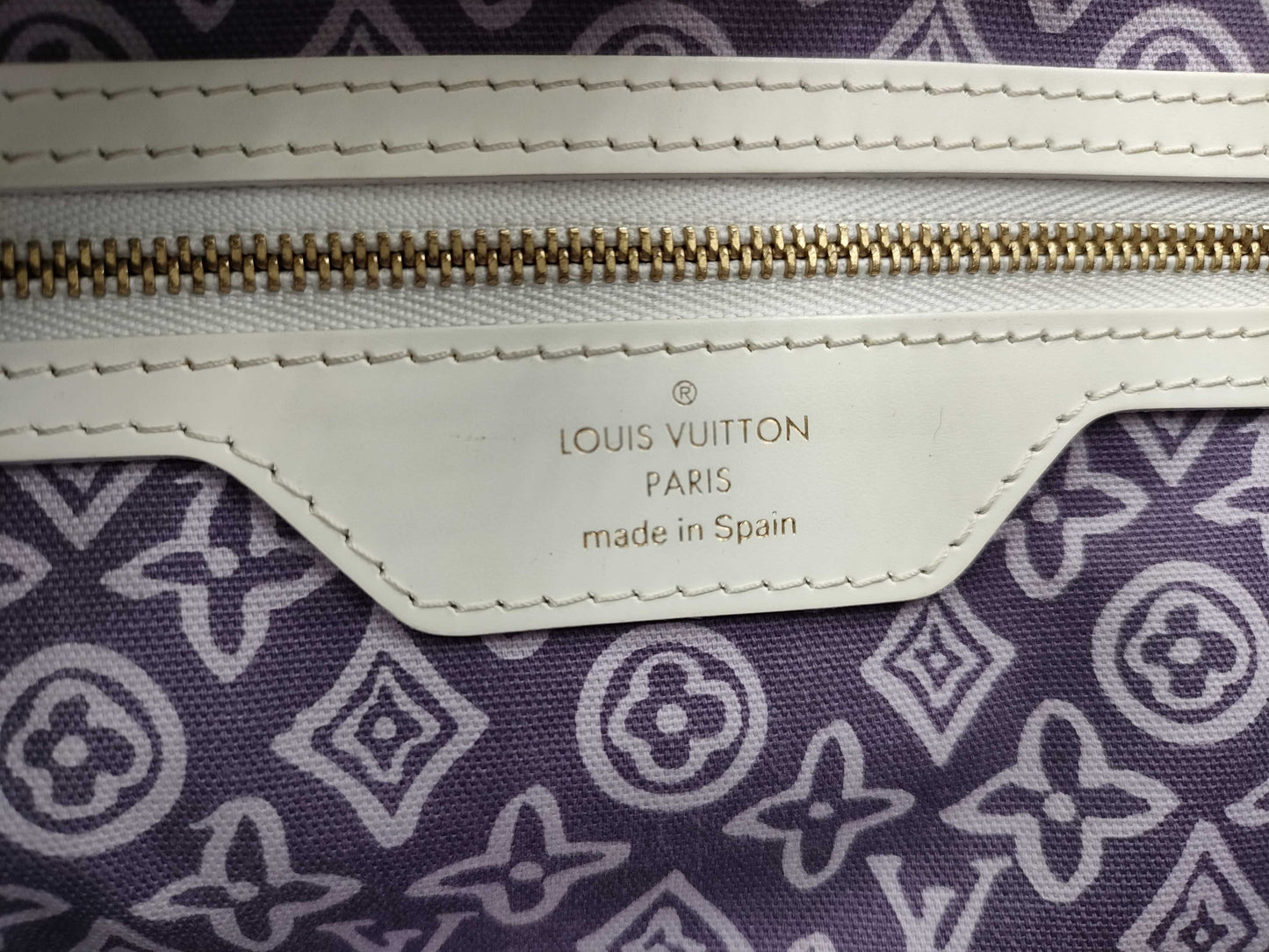 LOUIS VUITTON Cruise Line Taisienne PM Handbag