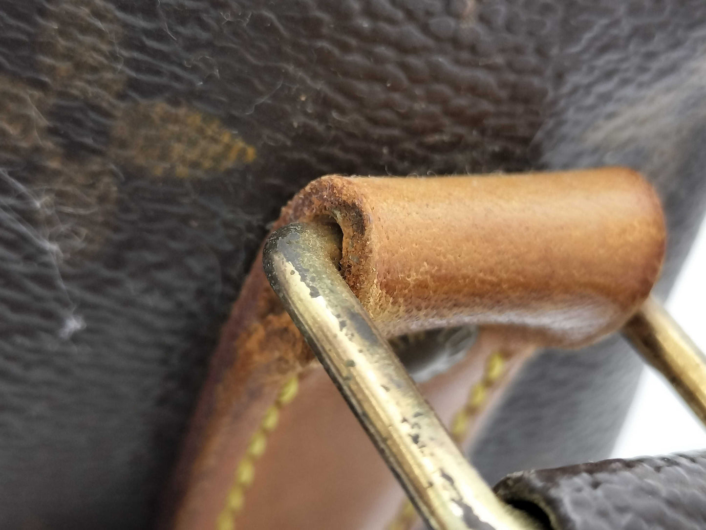LOUIS VUITTON Monogram M45244 Nile Shoulder Bag
