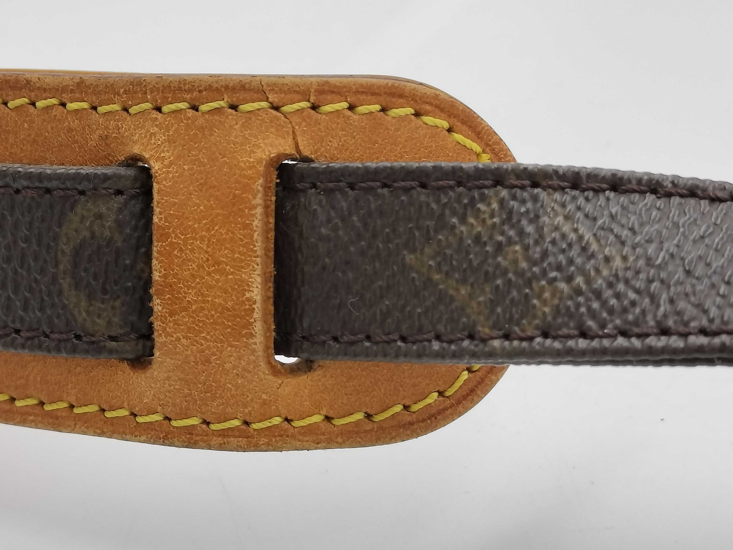 LOUIS VUITTON Monogram M45244 Nile Shoulder Bag