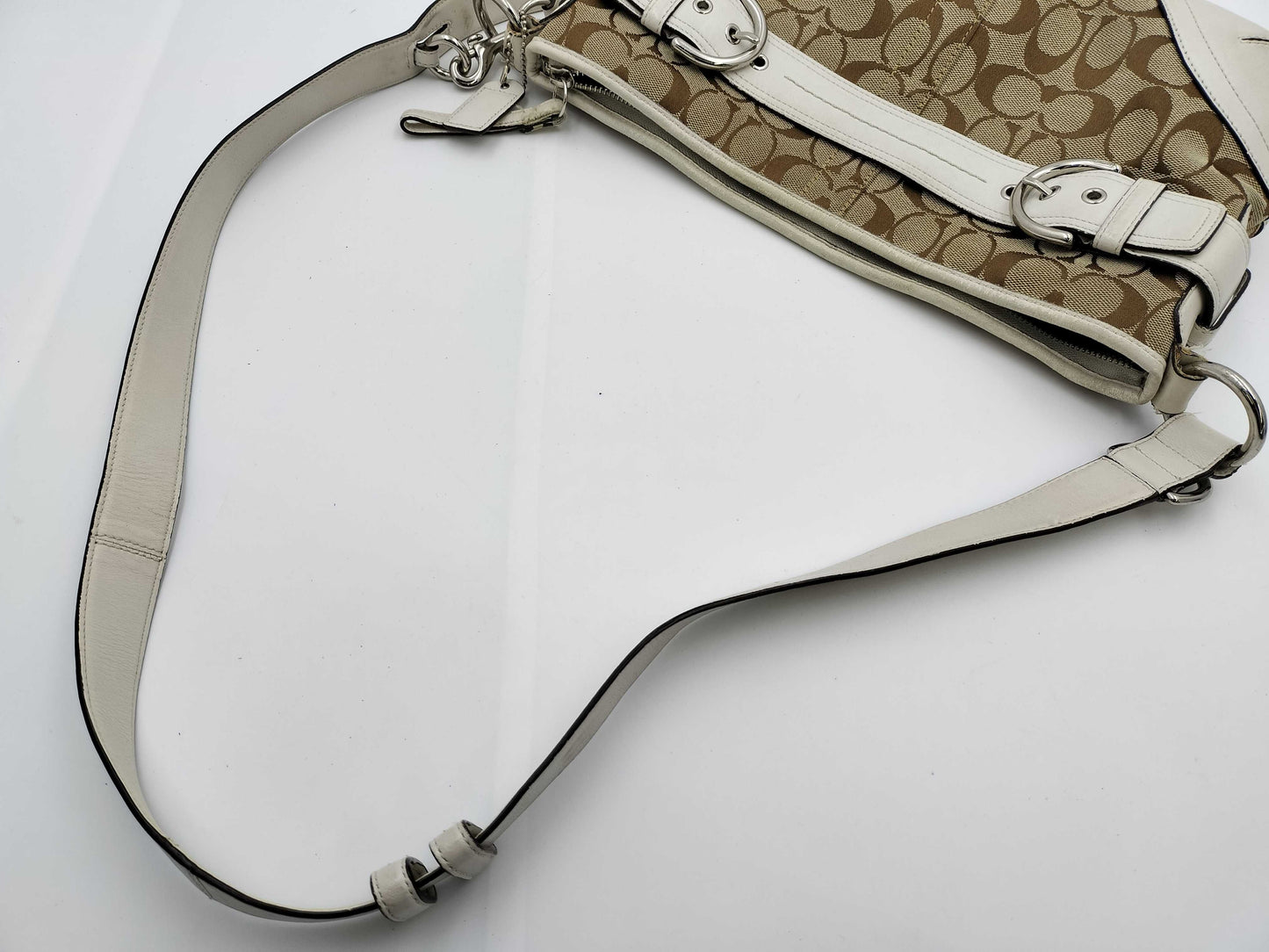 FENDI, Coach, etc. bag set bag