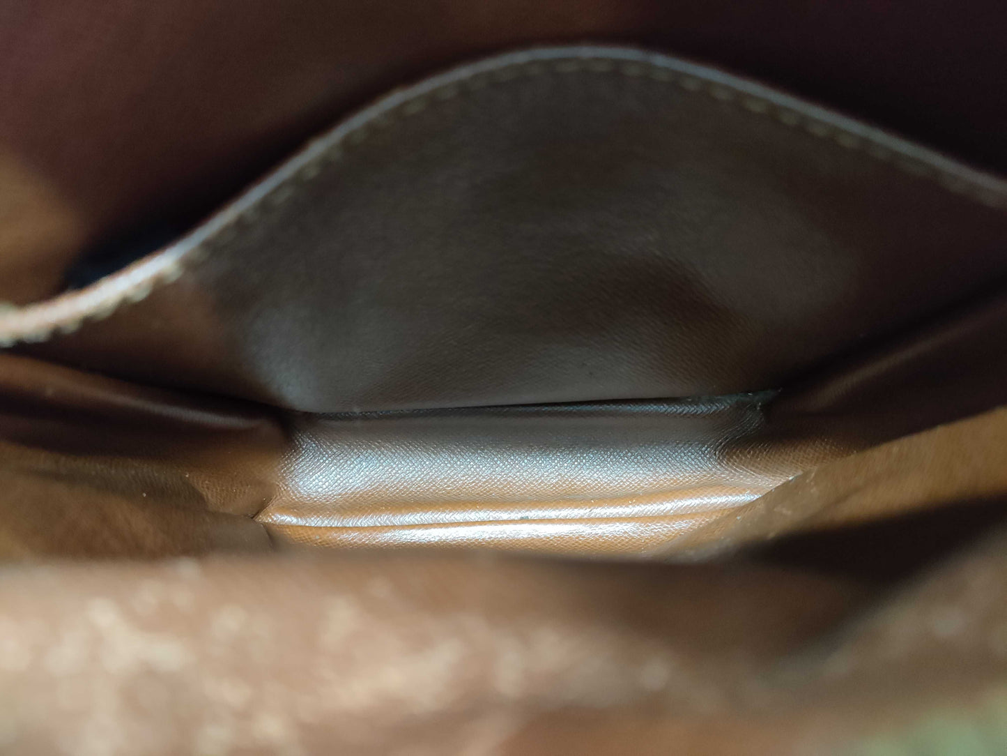 LOUIS VUITTON Monogram M45236 Amazon Shoulder Bag