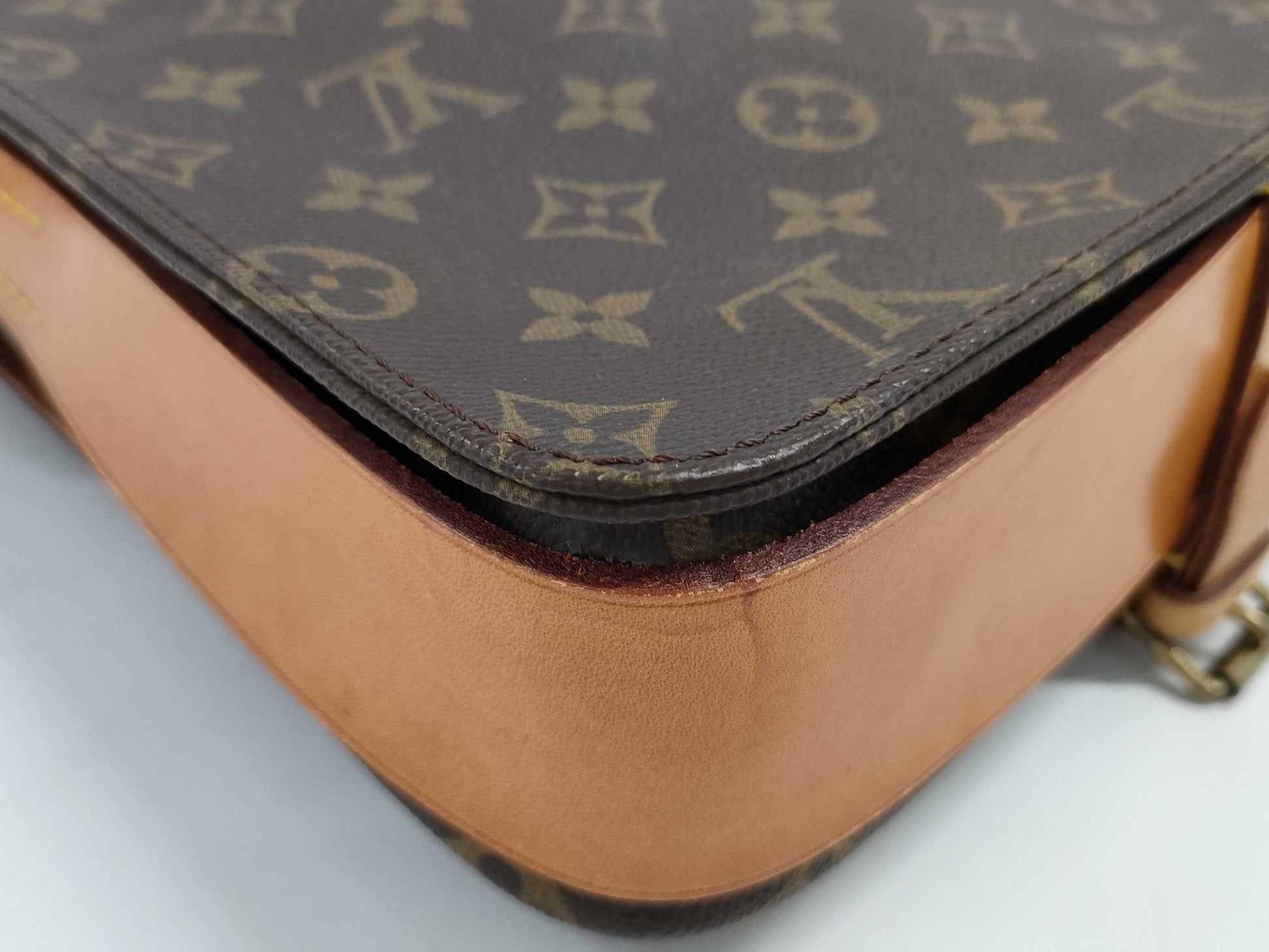 LOUIS VUITTON Monogram Cartociere Shoulder Bag