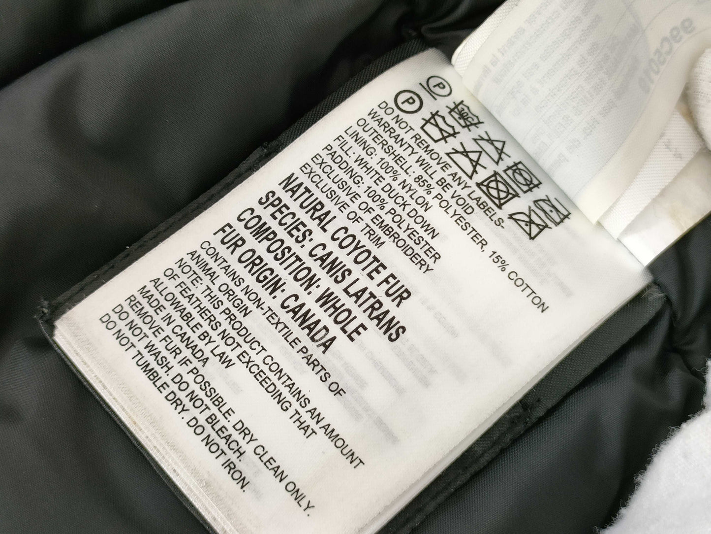 Canada Goose coat