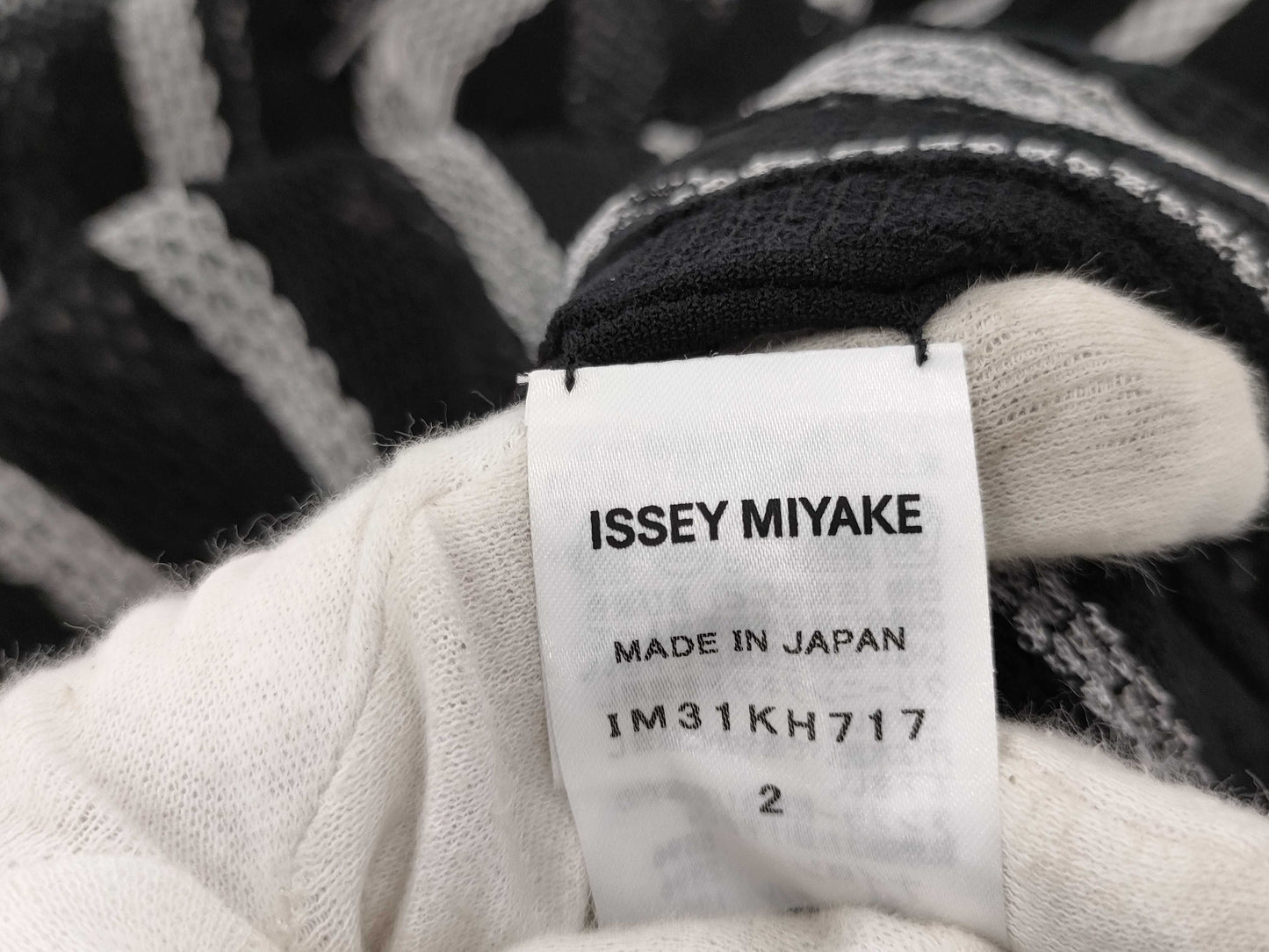 ISSEY MIYAKE see-through black and white dress