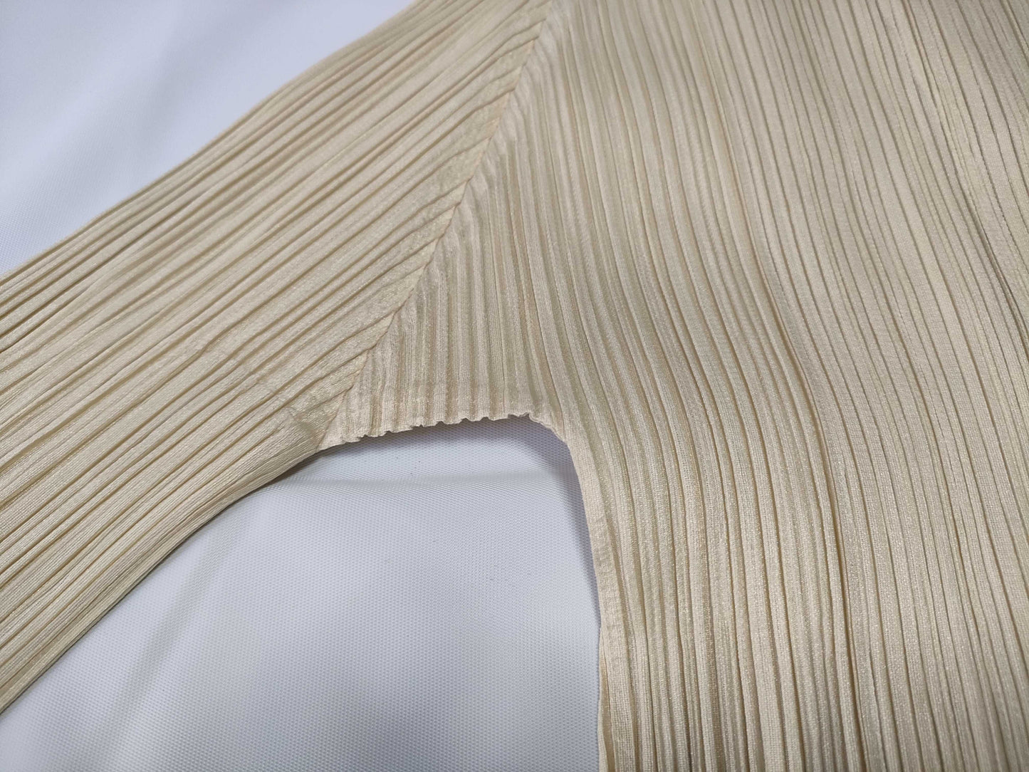 PLEATS PLEASE Zebra Ensemble in Beige Other Apparel