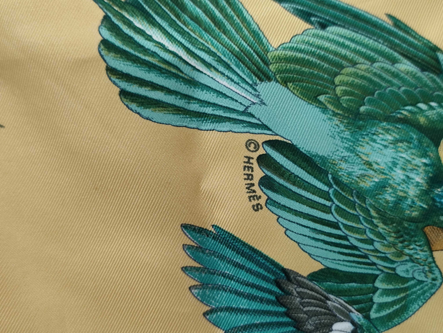(10462_0087) HERMES Carre-90 Intruder Scarf