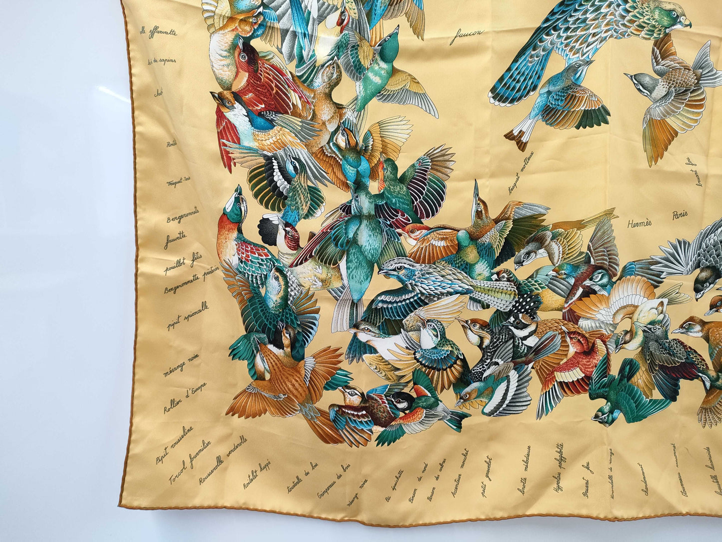 (10462_0087) HERMES Carre-90 Intruder Scarf