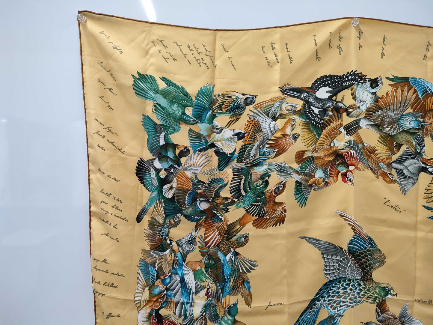(10462_0087) HERMES Carre-90 Intruder Scarf