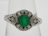 E0.65ct D0.20ct Pt900 6.3g Ring