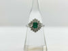 E0.51ct D0.97ct PT900 5.5g Ring