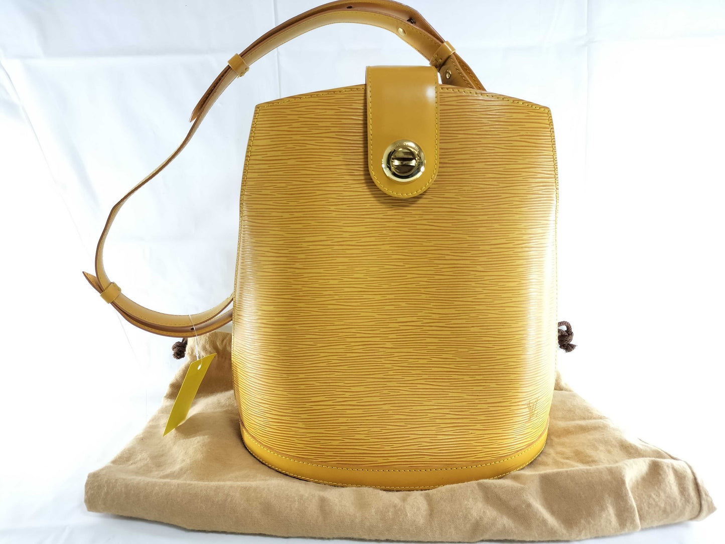 LOUIS VUITTON Epi Cluny Shoulder Bag with Crack