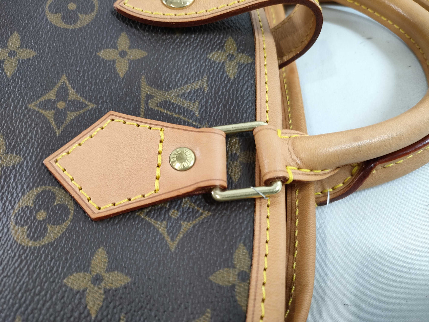LOUIS VUITTON Monogram Garment Handbag
