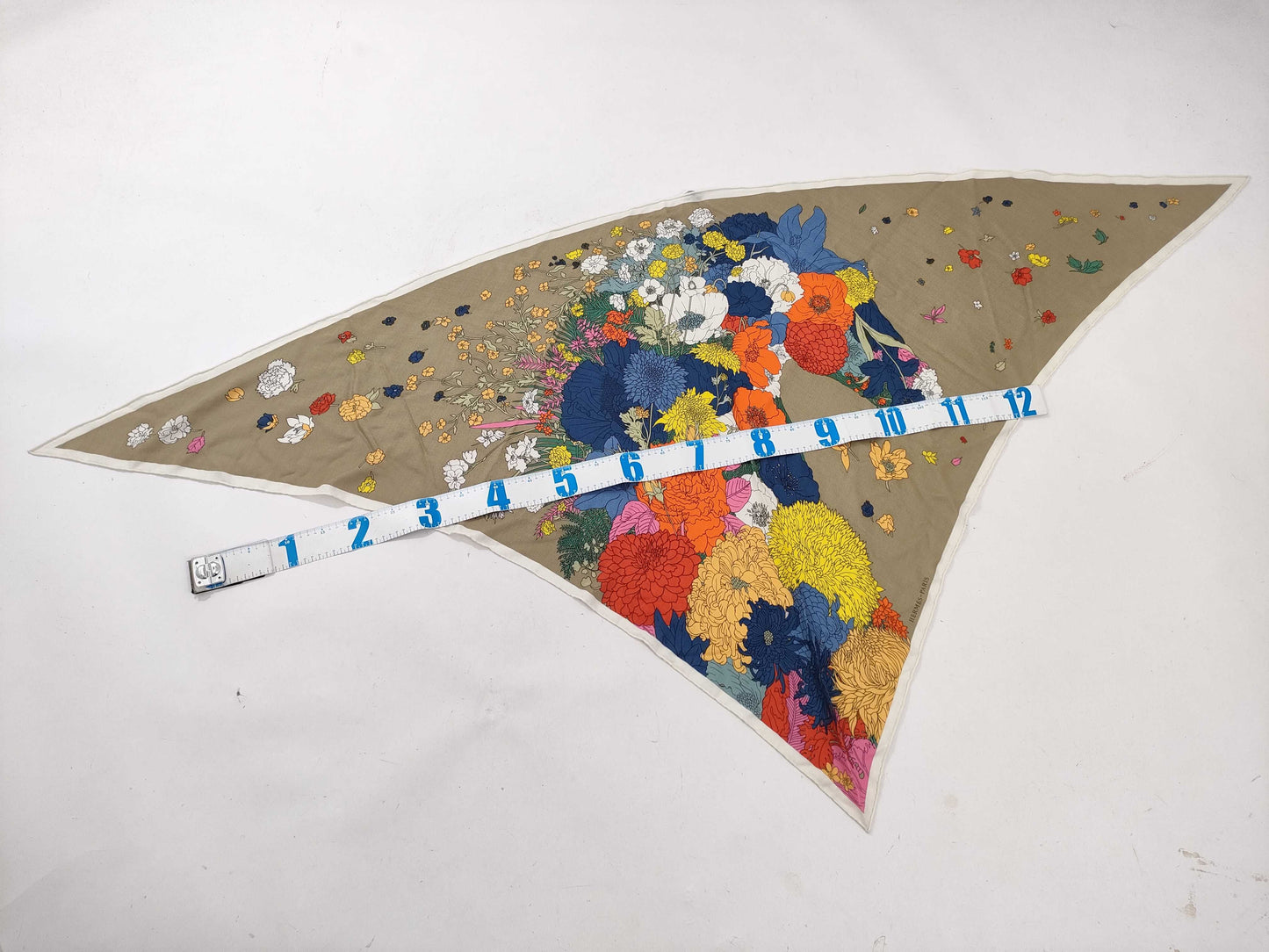 HERMES Triangle Geant Scarf