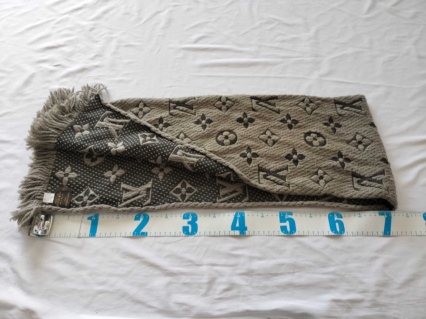 LOUIS VUITTON Monogram Echarpe Logomania Scarf