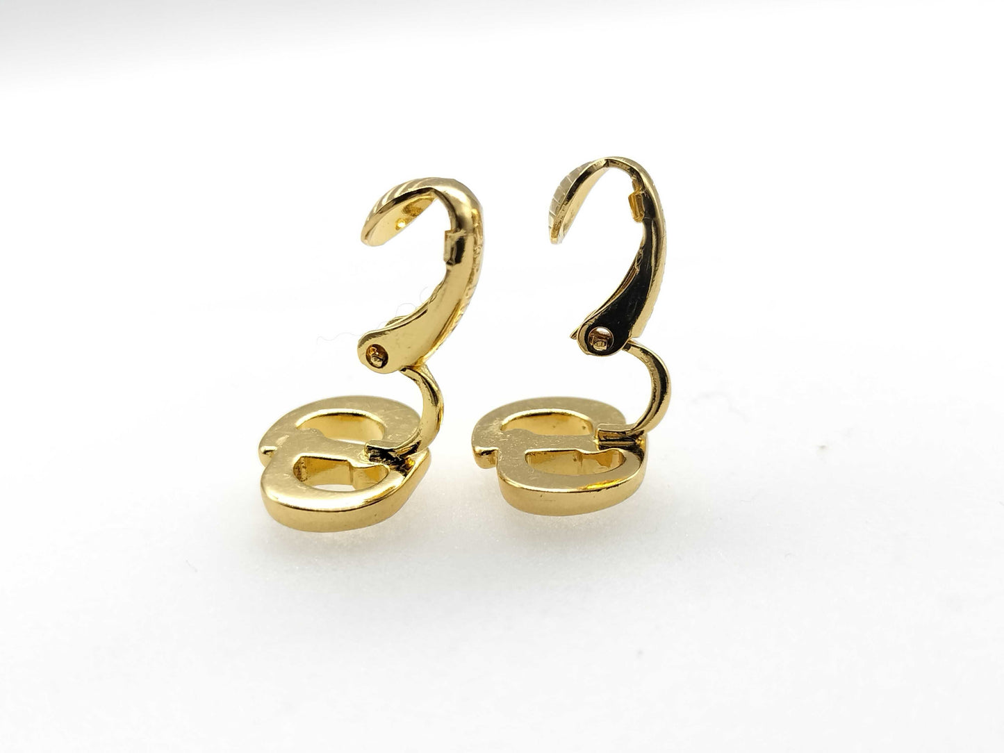 Dior Earrings Earrings