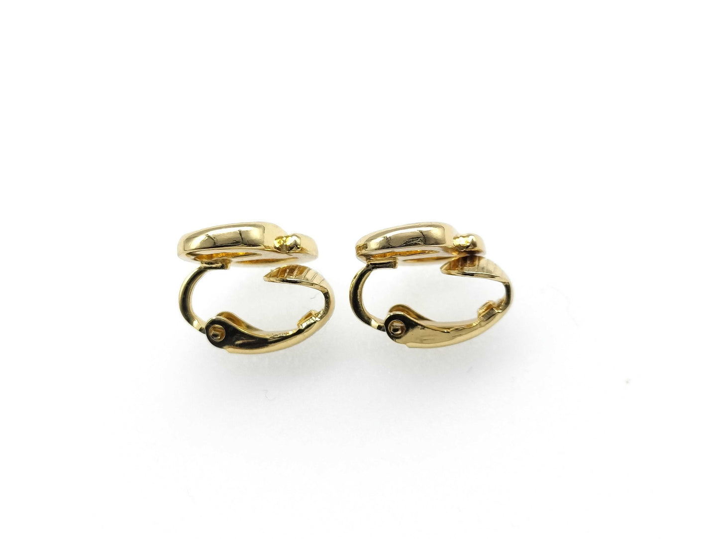 Dior Earrings Earrings