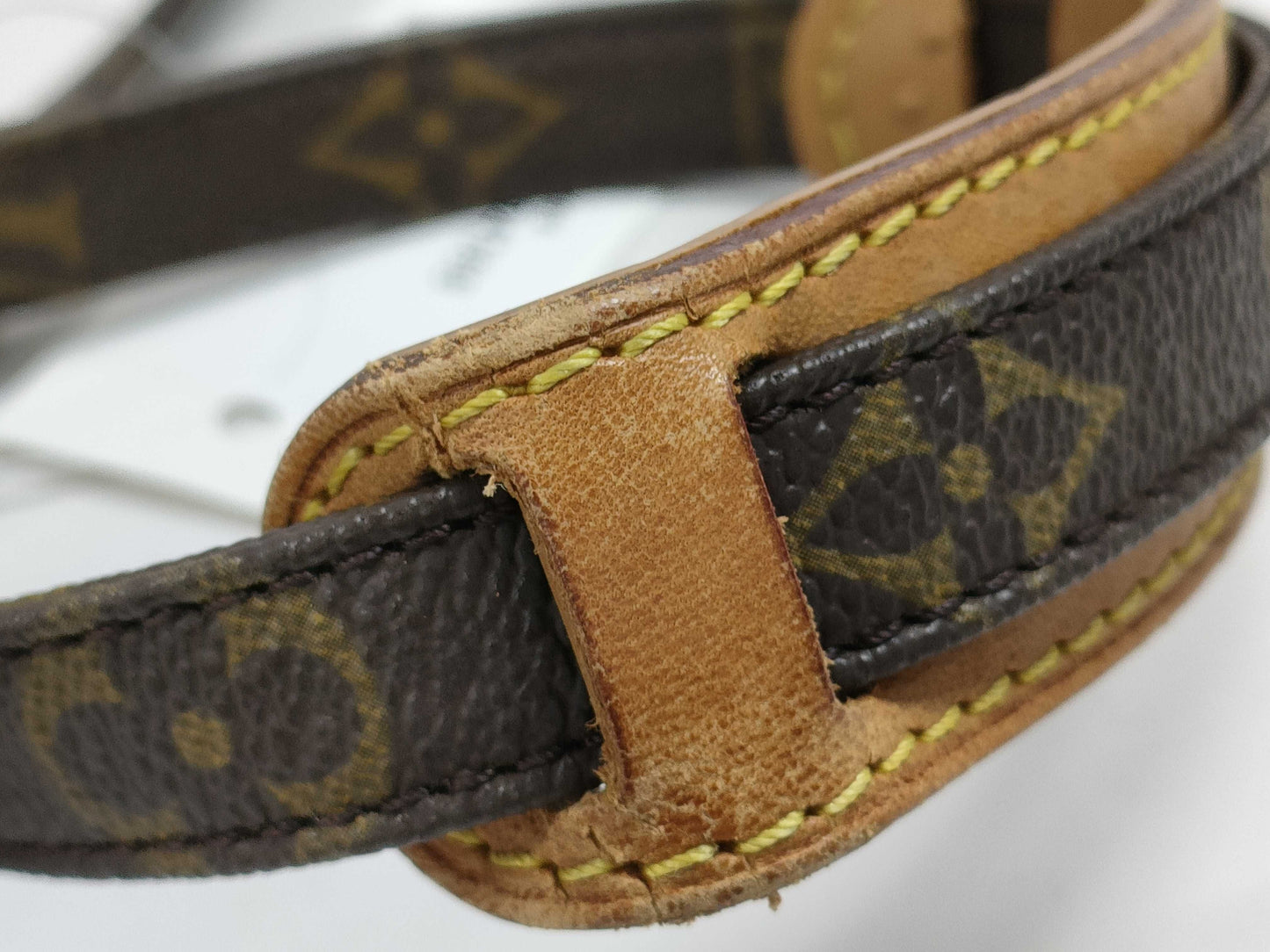 LOUIS VUITTON Monogram Amazon Shoulder Bag
