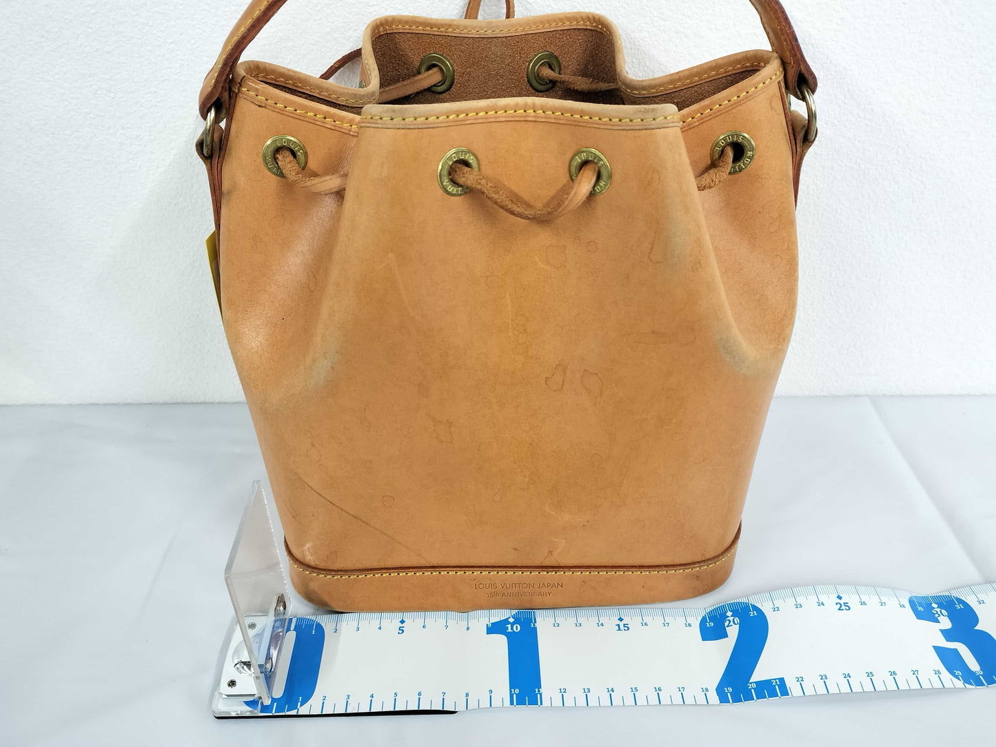 LOUIS VUITTON Nomad Mini Noe M43528 Handbag