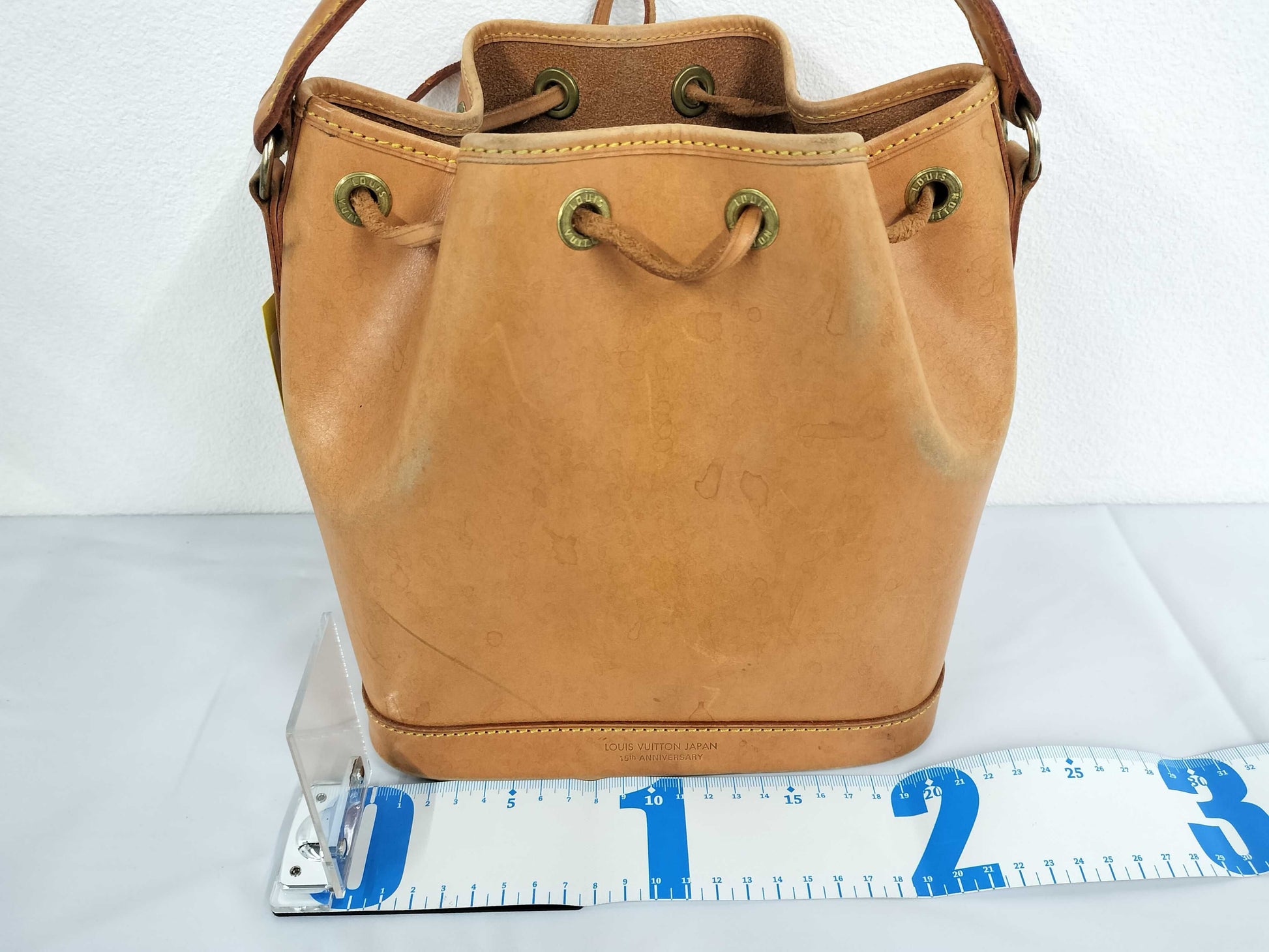 LOUIS VUITTON Nomad Mini Noe M43528 Handbag