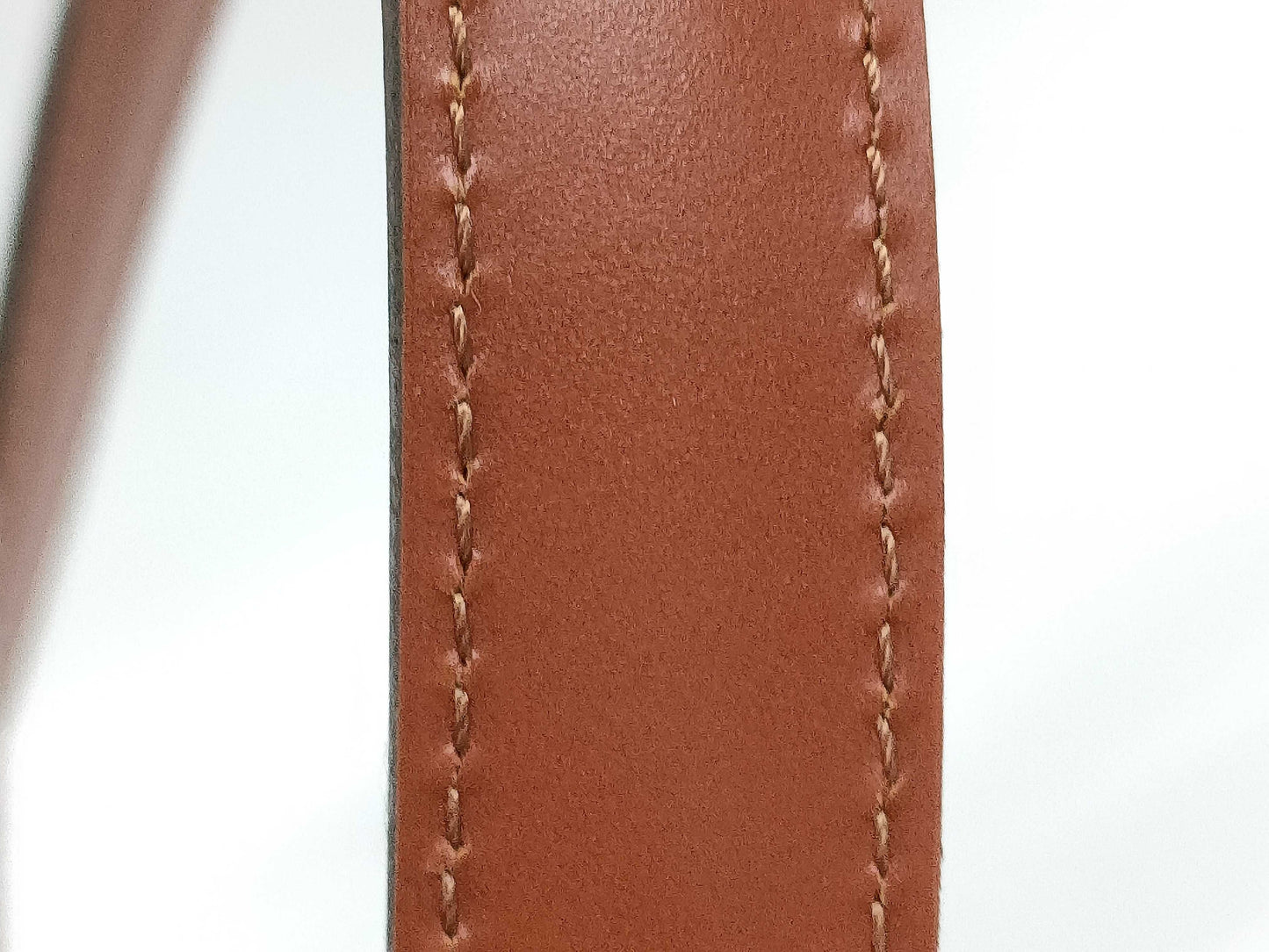 LOUIS VUITTON Epi Saint-Jacques Tote Bag