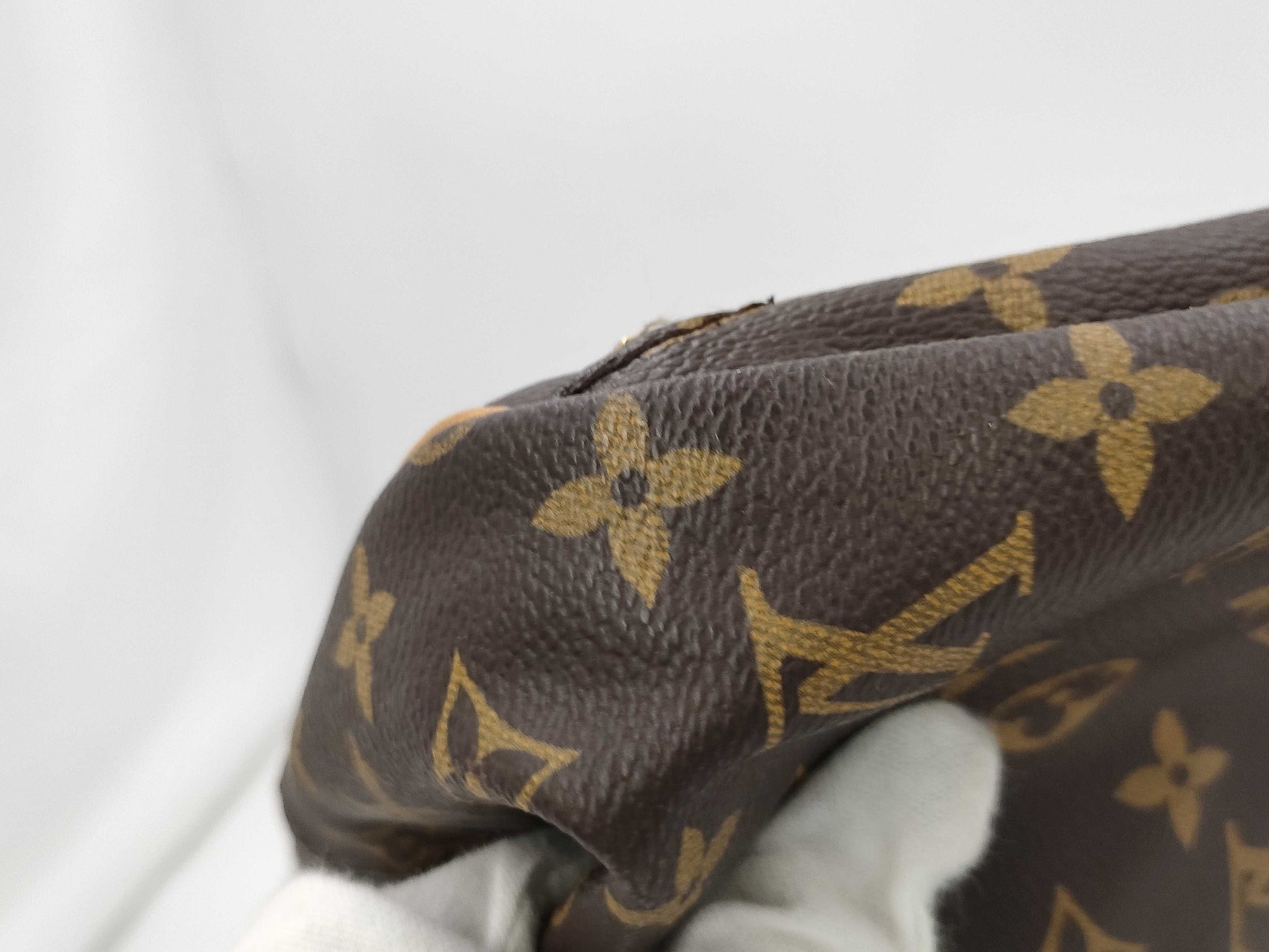 LOUIS VUITTON Monogram M41443 Evazeon Business Bag