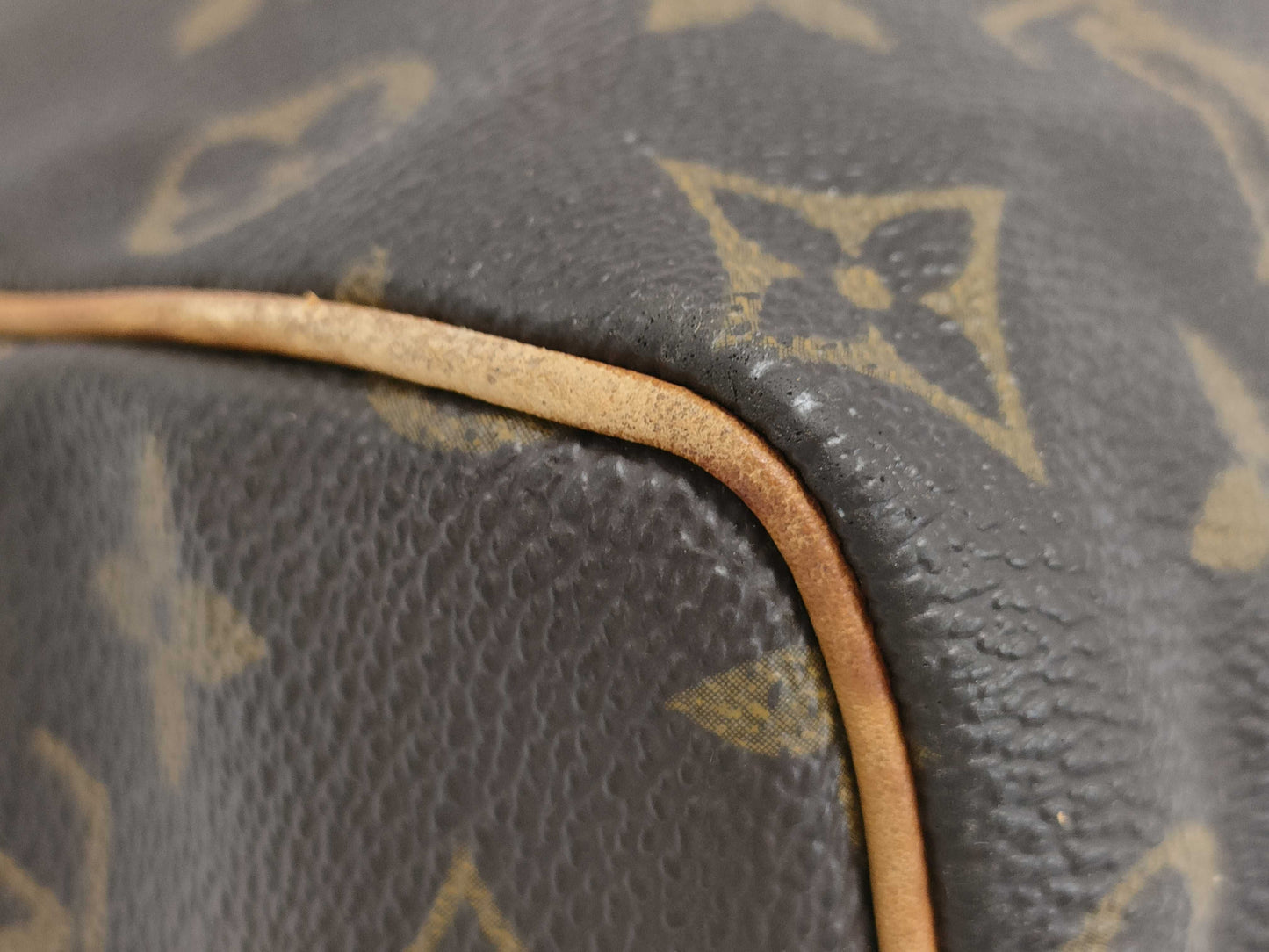 LOUIS VUITTON Monogram Speedy Boston Bag