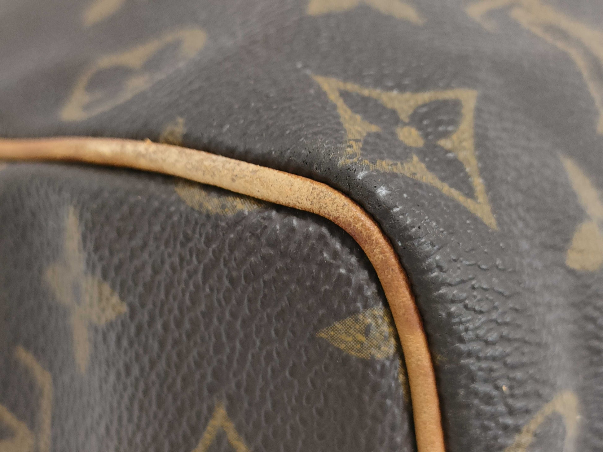 LOUIS VUITTON Monogram Speedy Boston Bag