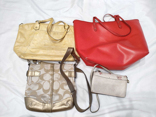COACH 4-Piece Handbag