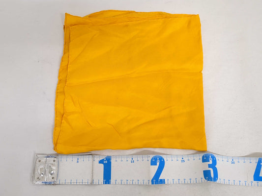 CELINE YSL/Dior/Celine Scarf Set Scarf